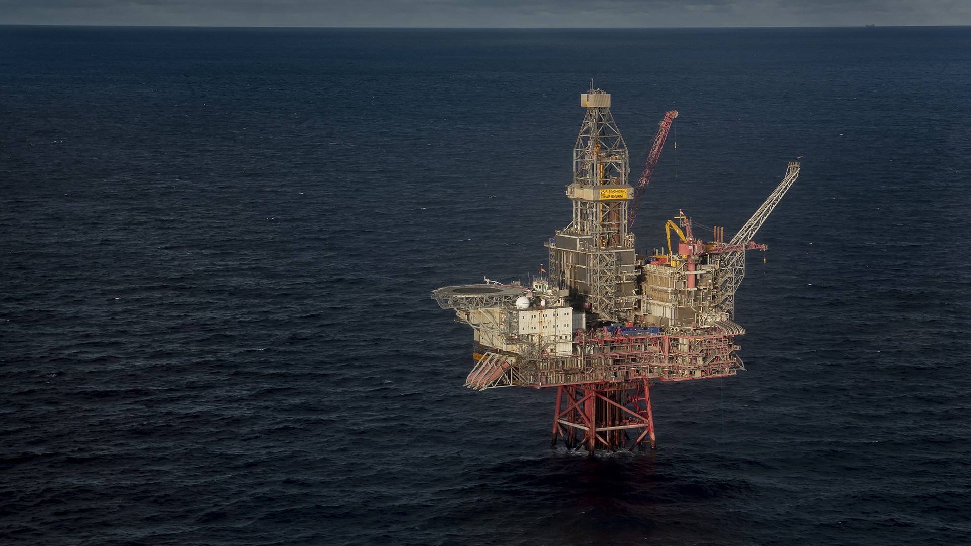 Ringhorne. (Foto: Øyvind Sætre/Vår Energi)