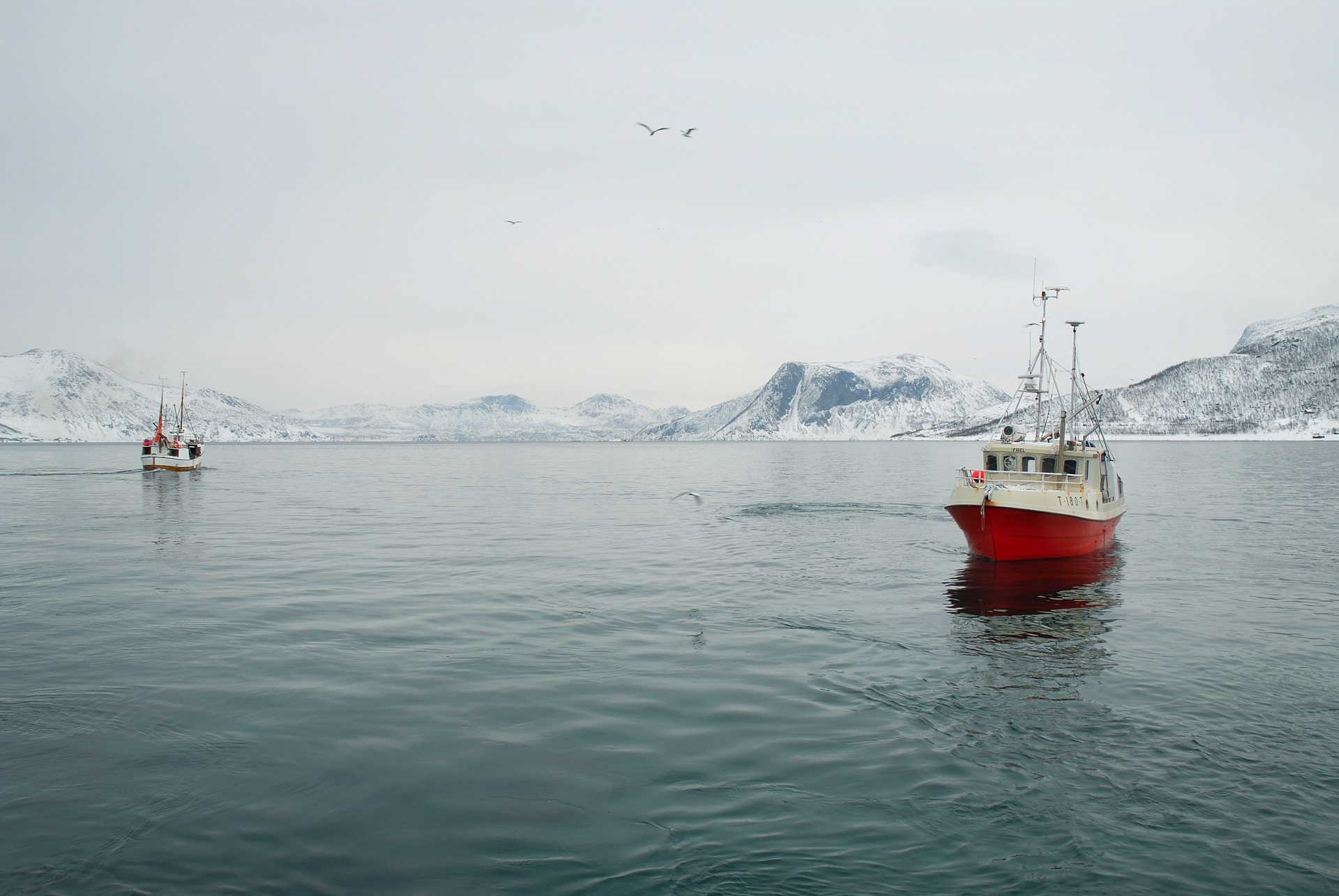 Photo of fishing boats