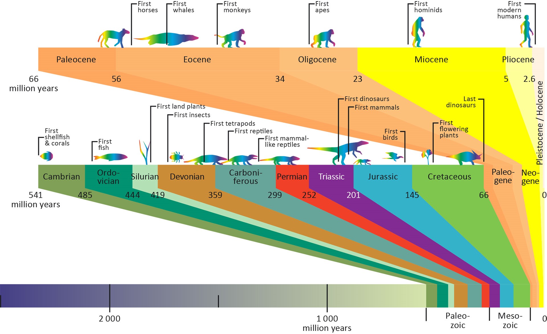 Figure showing a simplified time scale
