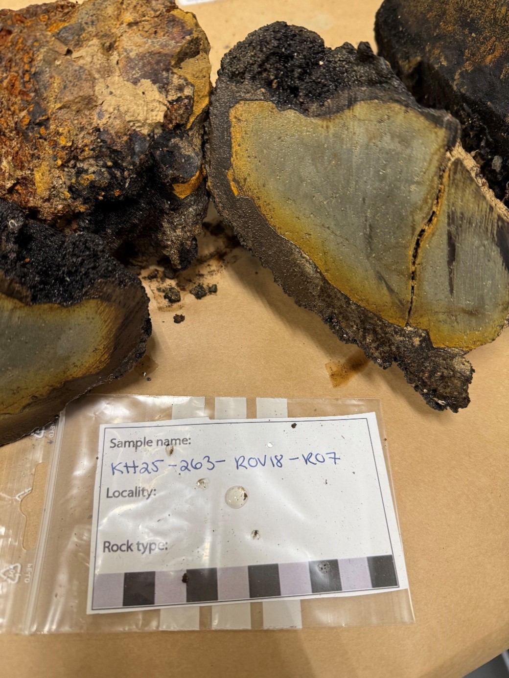 The photo shows manganese crusts.