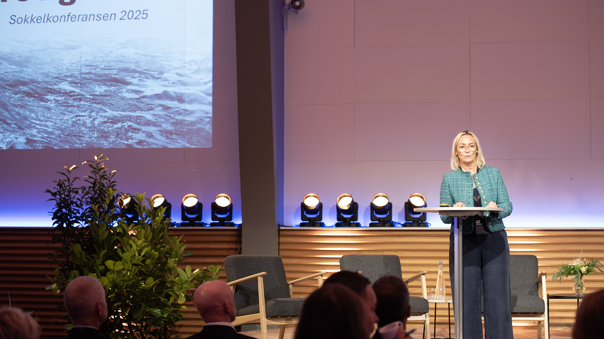 Kjersti Dahle, Director of offshore new ventures, the Norwegian Offshore Diretorate.