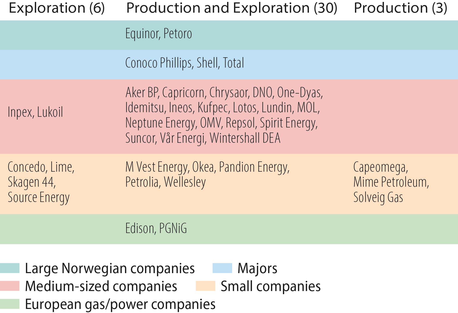 Figure 4.20 Licensees on the NCS by company category and focus areas at 31 December 2019