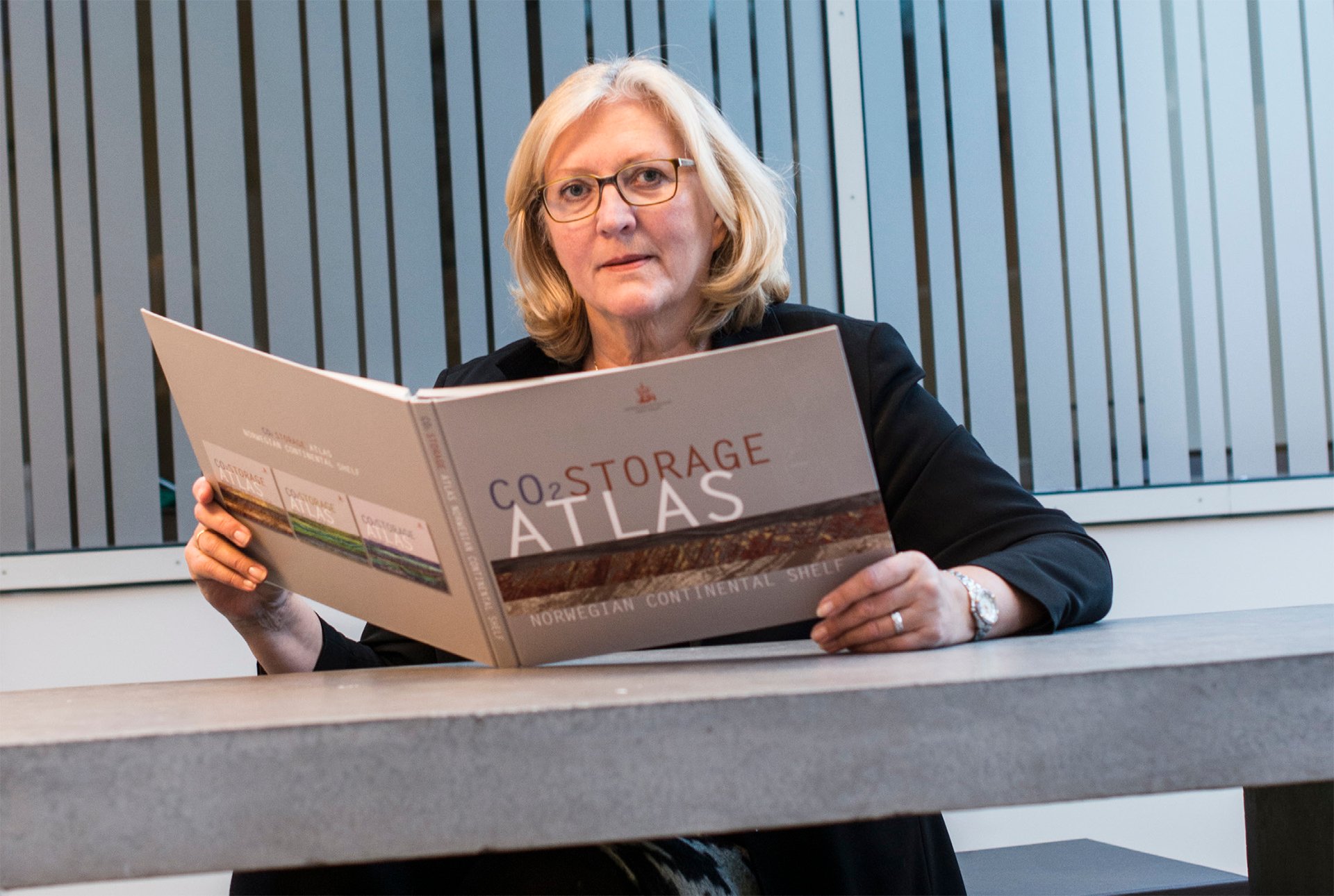 Eva Halland er utdannet geolog fra Universitetet i Bergen og kom til Oljedirektoratet i 1984, hvor hun har hatt en rekke ulike fag- og lederstillinger. Hun har hatt ansvaret for CO2-prosjektet siden 2009.