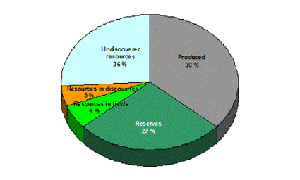 Distribution of the petroleum resources by maturity, as of 31 December 2007