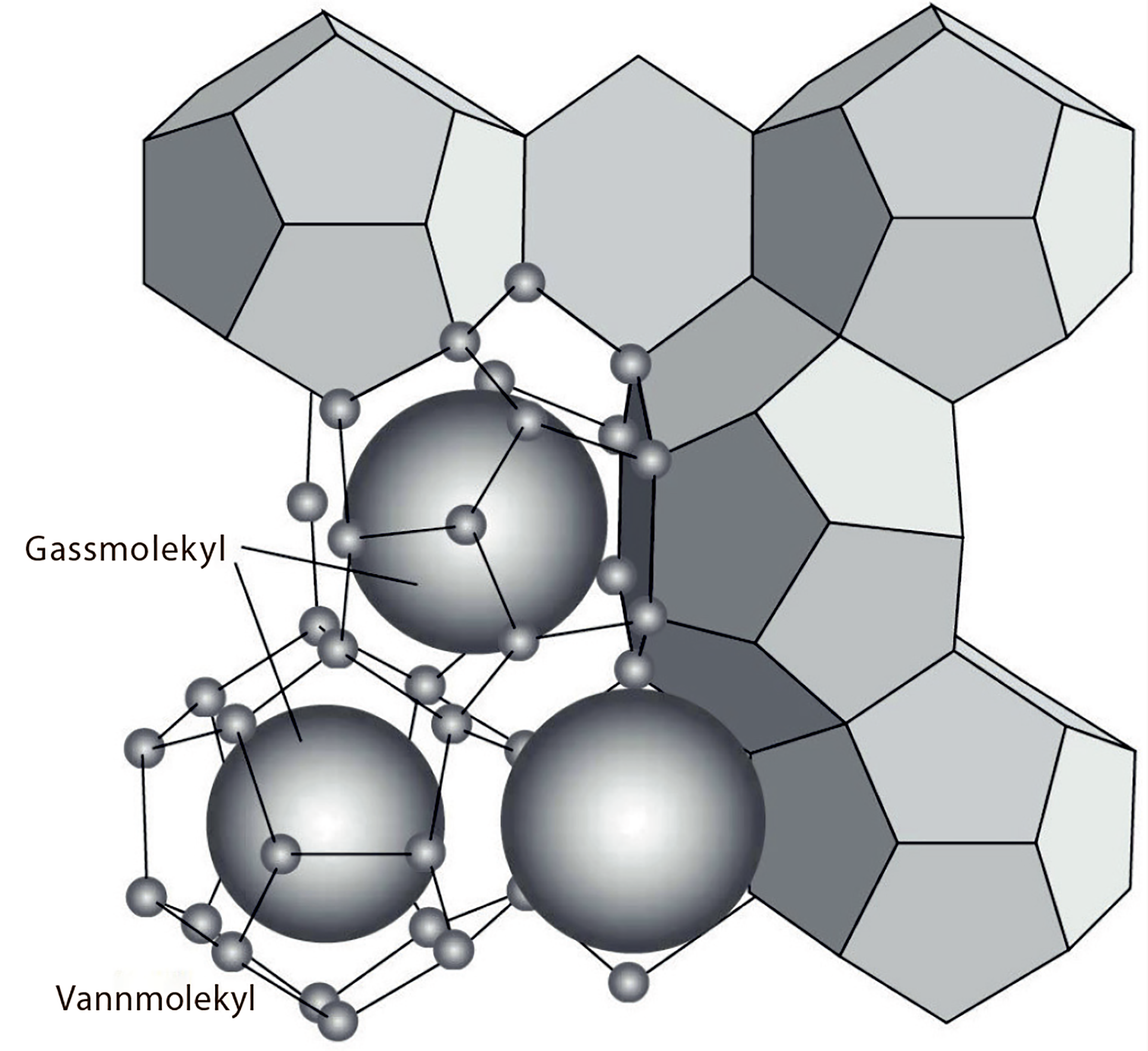 Figur 8.4 Modellen viser den molekylære strukturen av gasshydrat. Vannmolekyler skaper et solid bur for gassmolekylene. (Maslin et al. (2010))