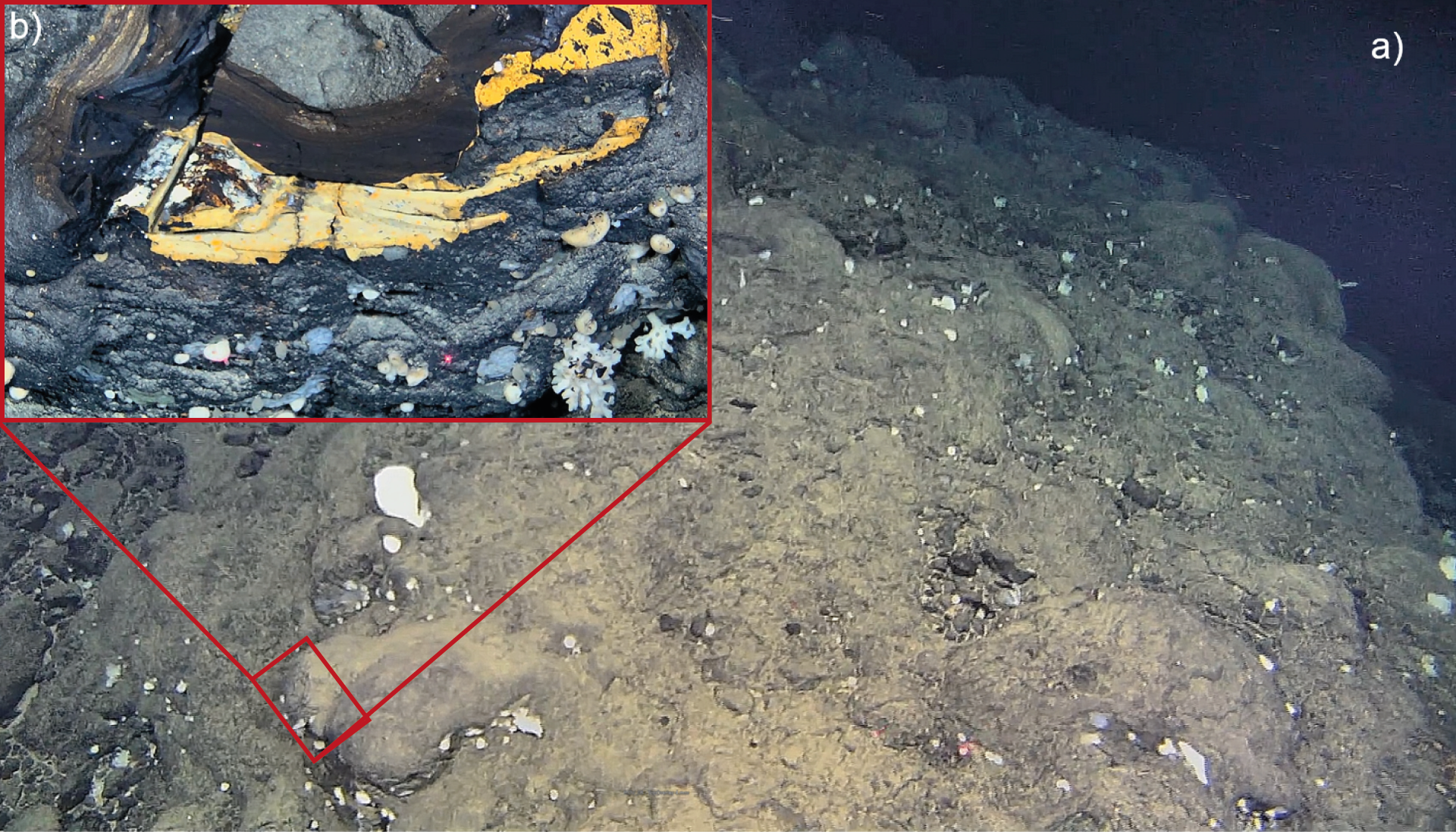 Photo of manganese crusts.